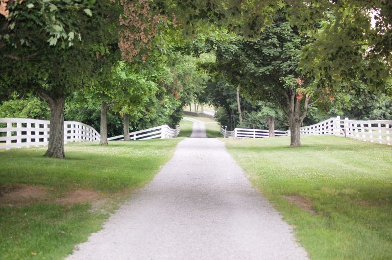 Finished Masonry Driveway